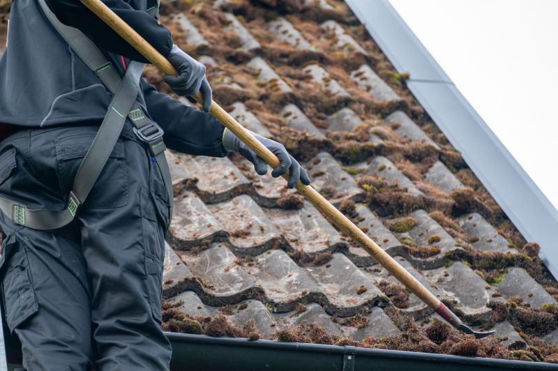 Cedar Roof Moss Removal