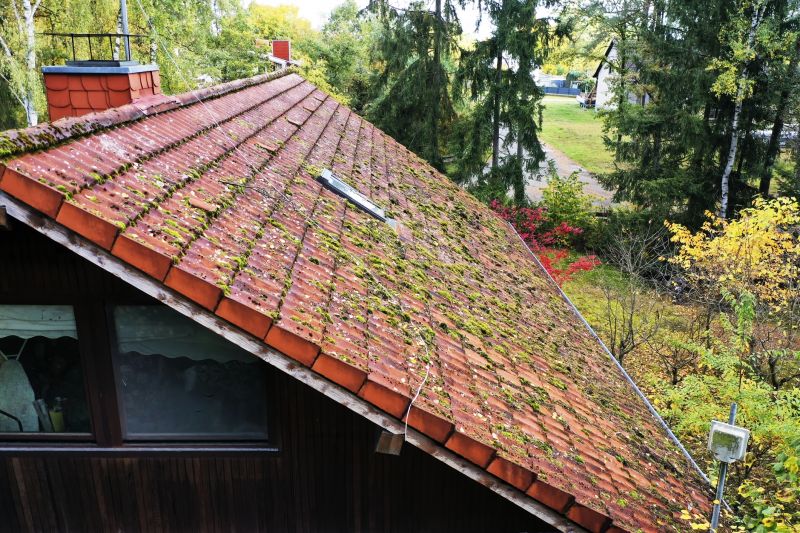 Cedar Roof Moss Removal