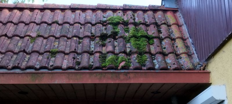 Cedar Roof Moss Removal