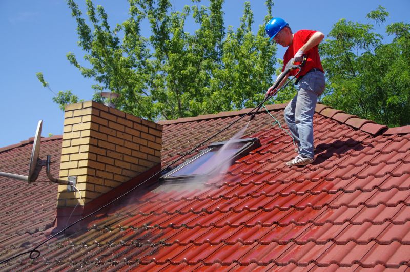 Professional Roof Cleaning Team
